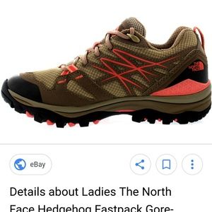 The North Face Hedgehog Fastpack Goretex size 9
